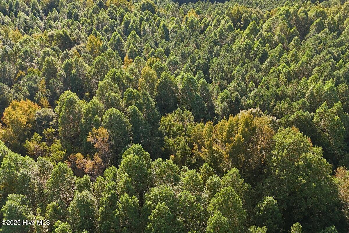 0 Bissette Road Property Photo 27