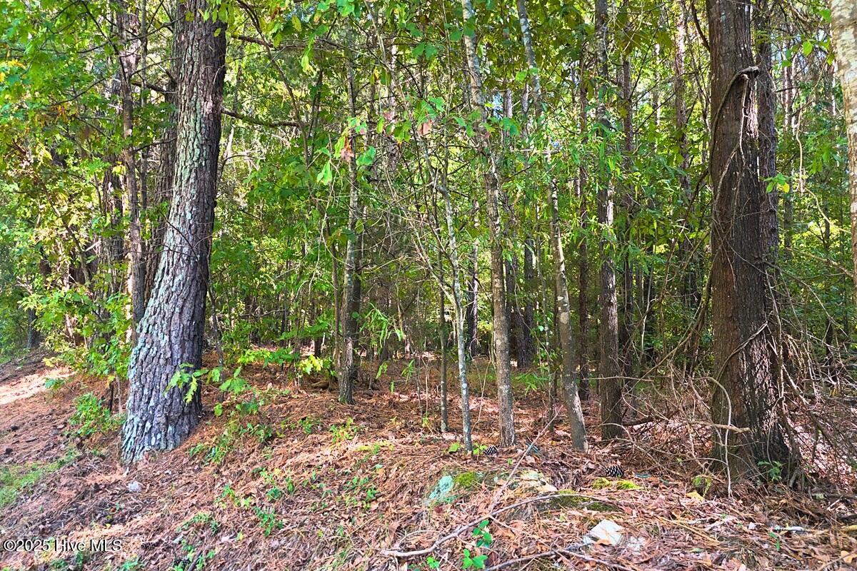 0 Bissette Road Property Photo 28