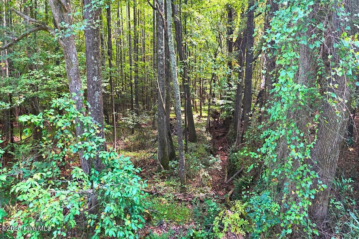 0 Bissette Road Property Photo 29