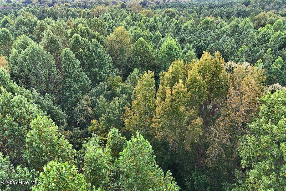 0 Bissette Road Property Photo 30