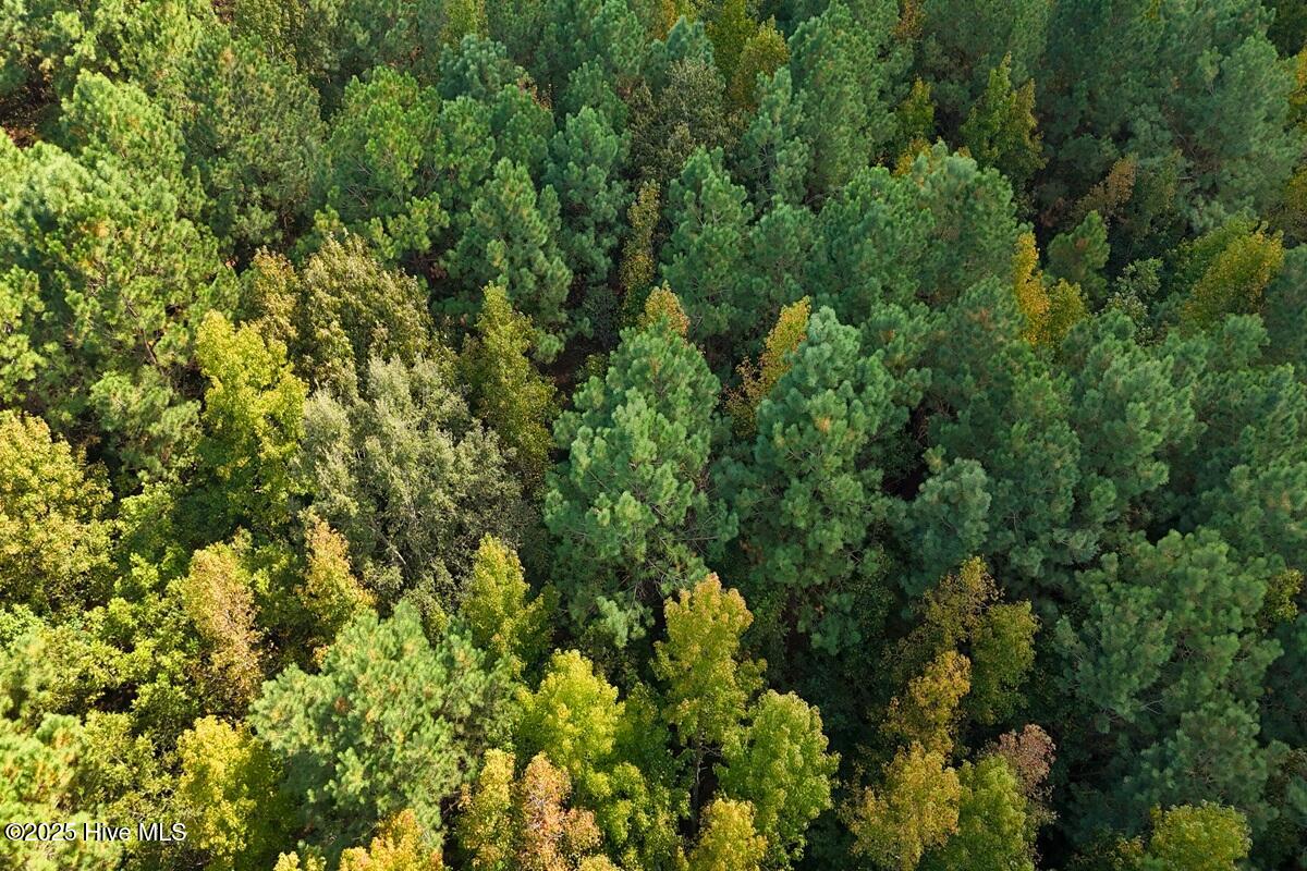 0 Bissette Road Property Photo 31