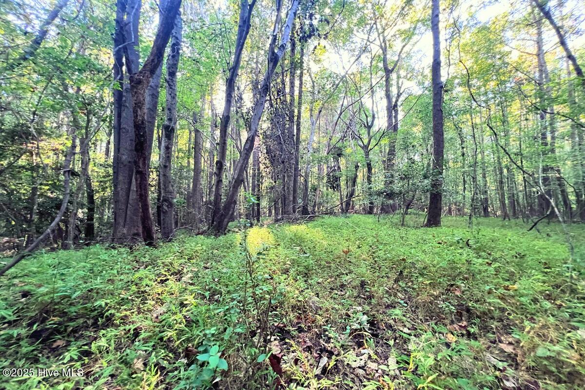 0 Bissette Road Property Photo 32