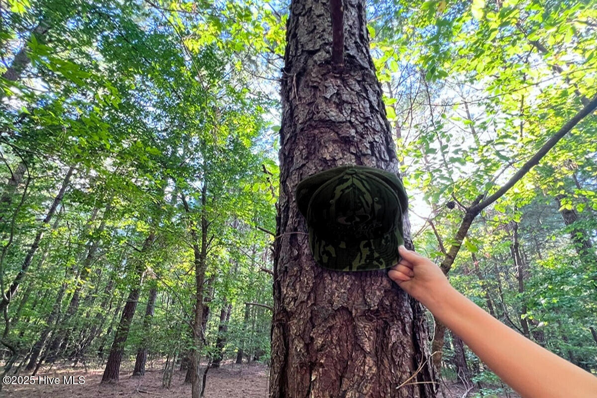 0 Bissette Road Property Photo 33