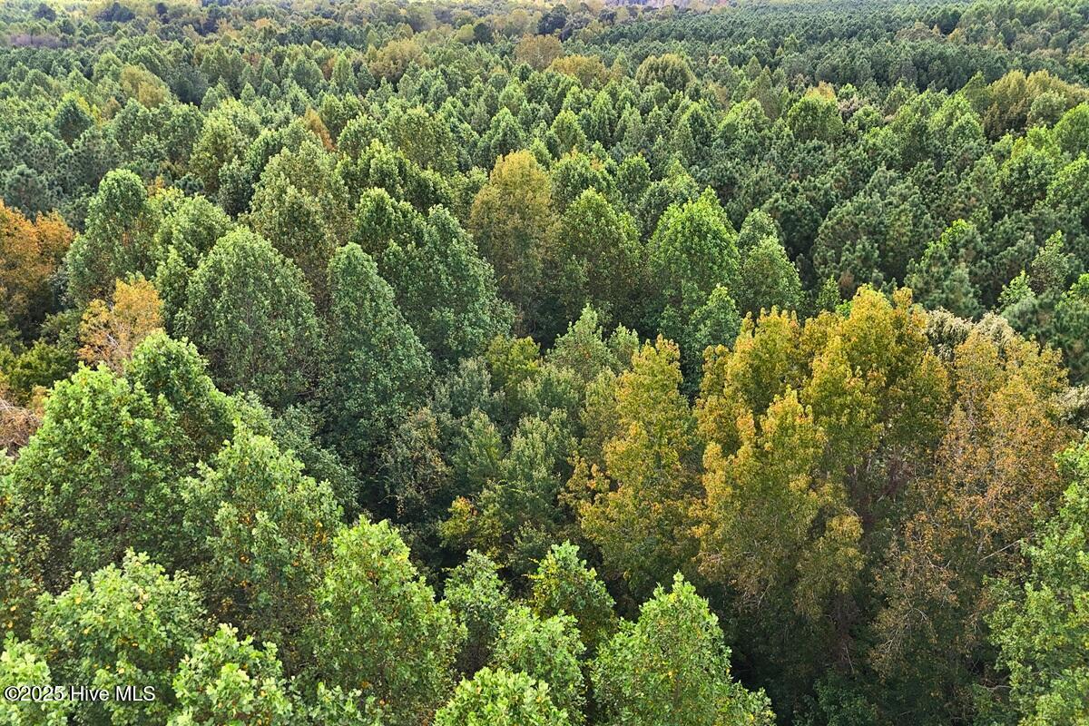 0 Bissette Road Property Photo 34