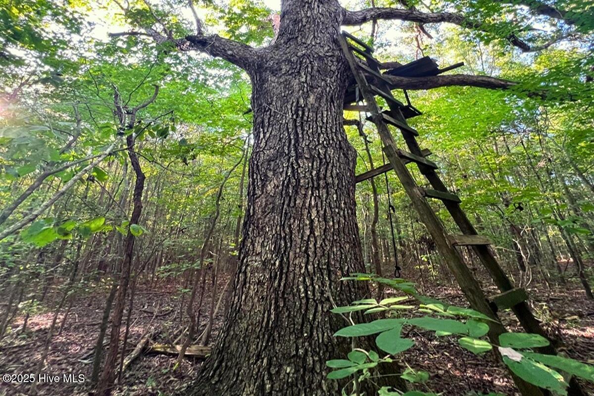 0 Bissette Road Property Photo 35