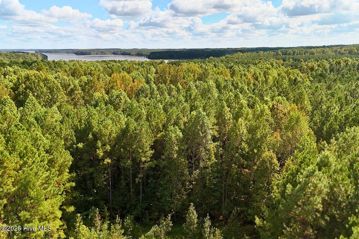 0 Bissette Road Property Photo 37