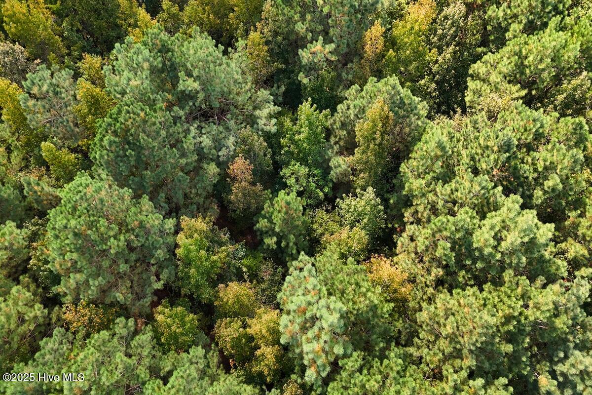 0 Bissette Road Property Photo 38