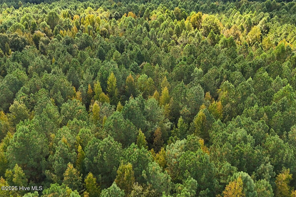 0 Bissette Road Property Photo 40