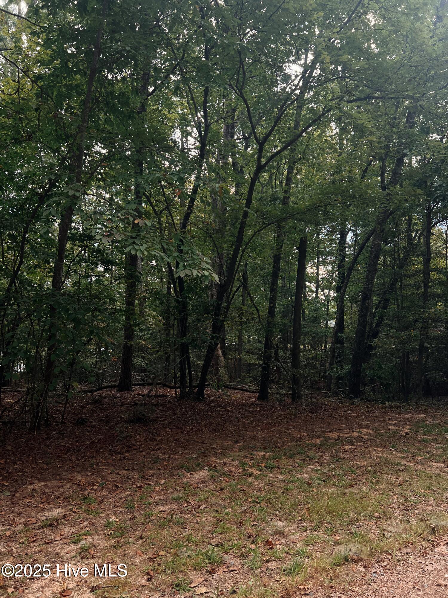 Lot 61 Palomino Road Property Photo 1