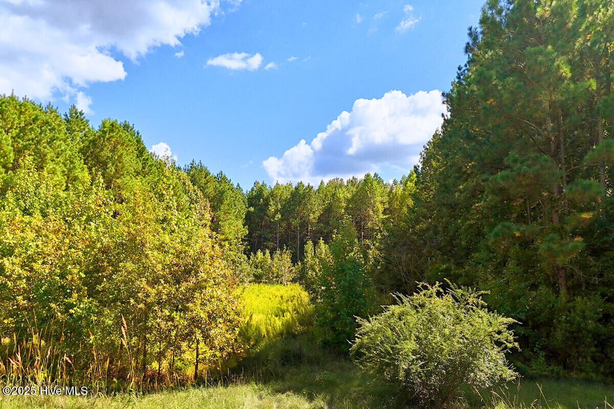 9631 New Sandy Hill Church Road Property Photo 1