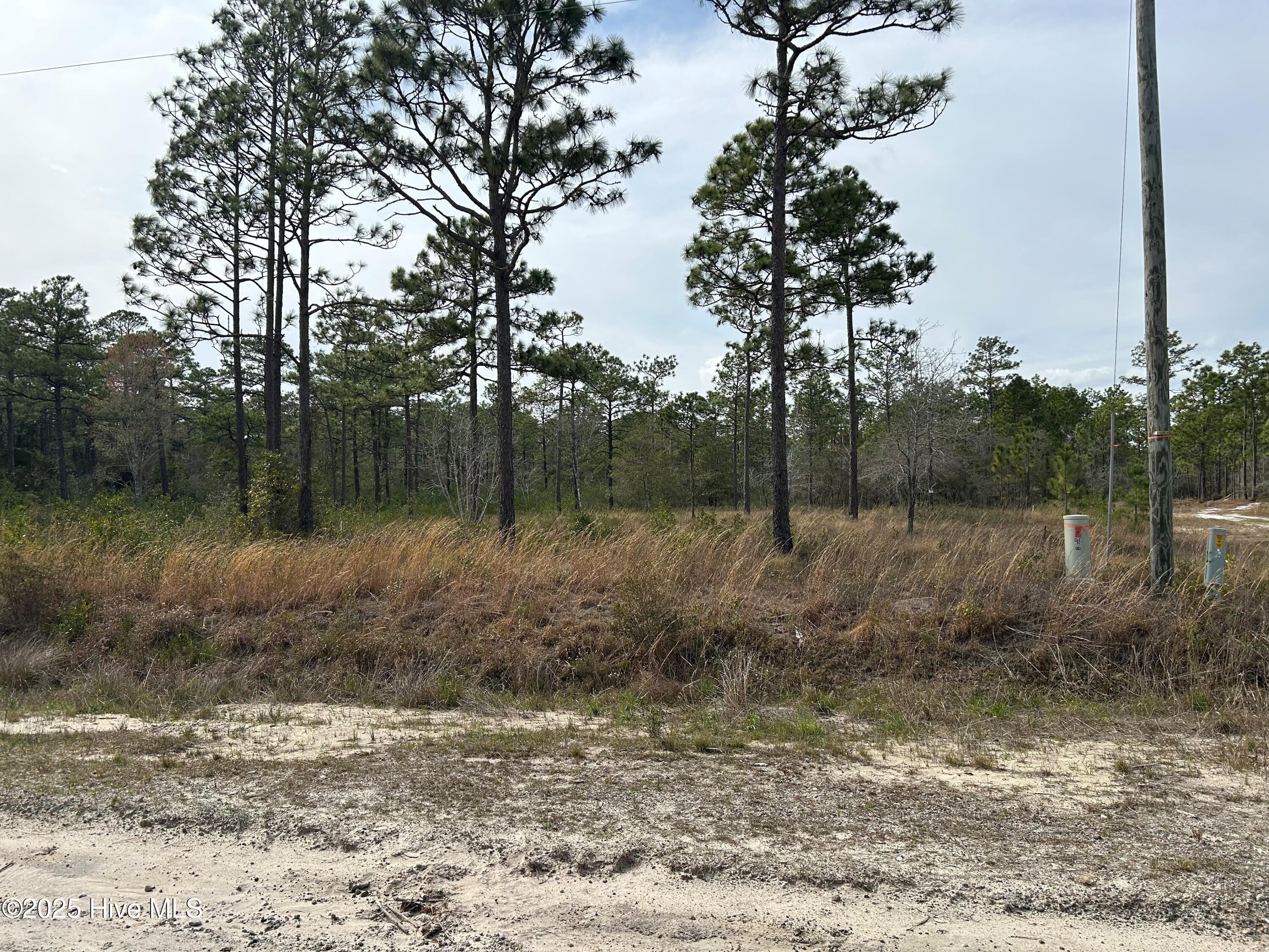 0 Virginia Drive Property Photo 1