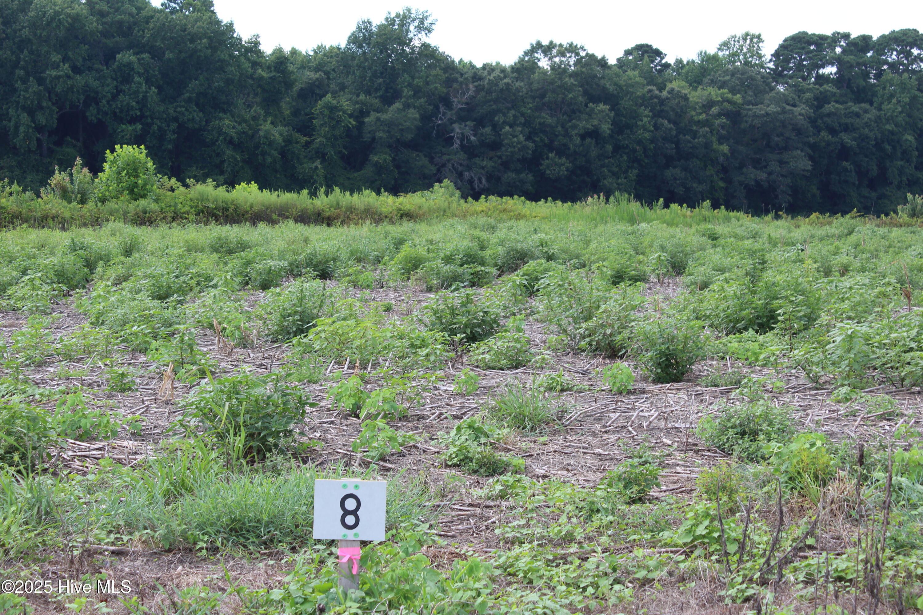 Lot 8 Whaley Road Property Photo 1