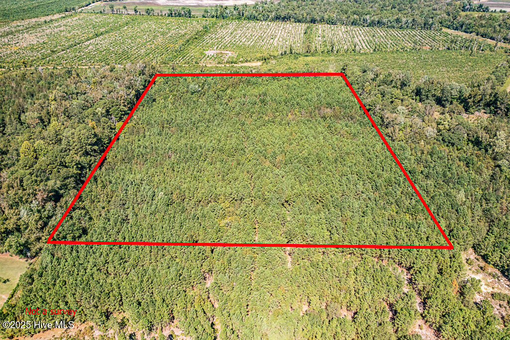 780 Campbell Road Property Photo 1