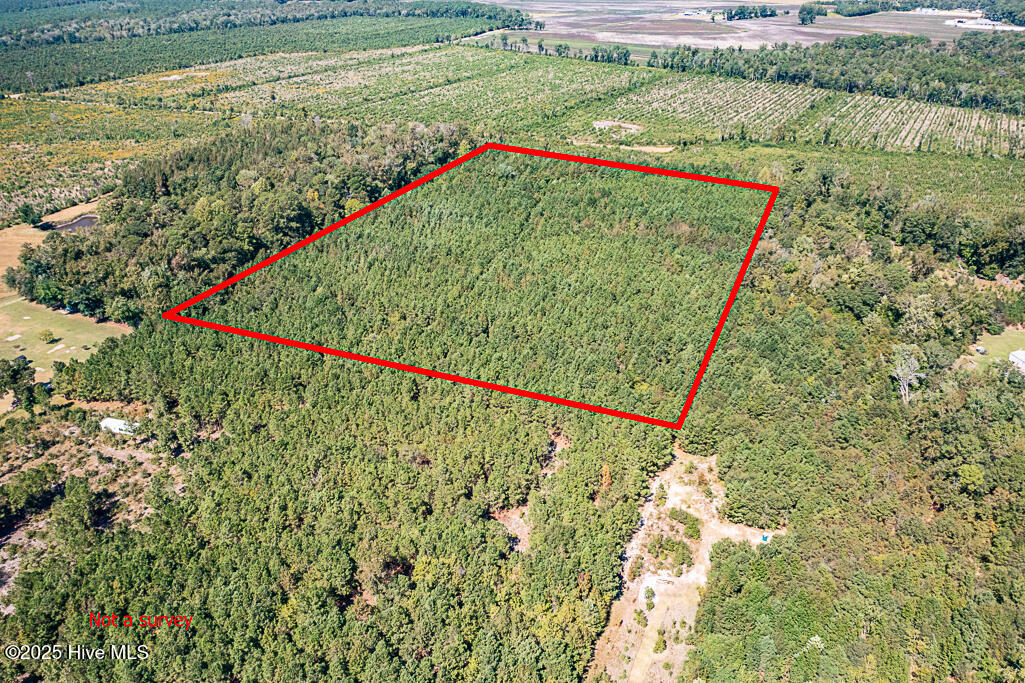 780 Campbell Road Property Photo 3