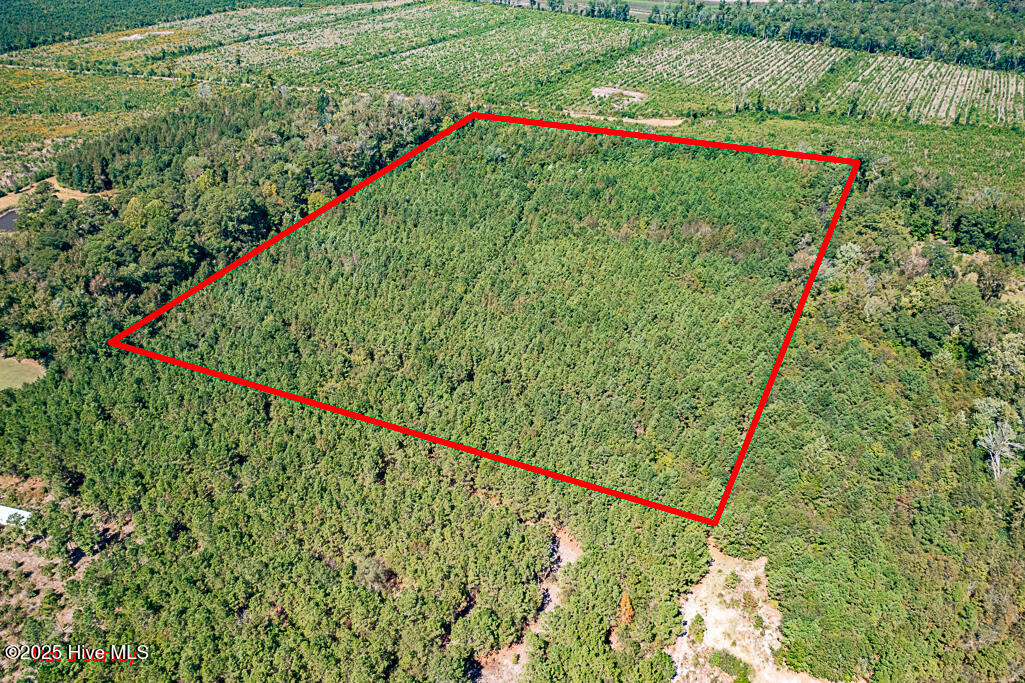 780 Campbell Road Property Photo 4