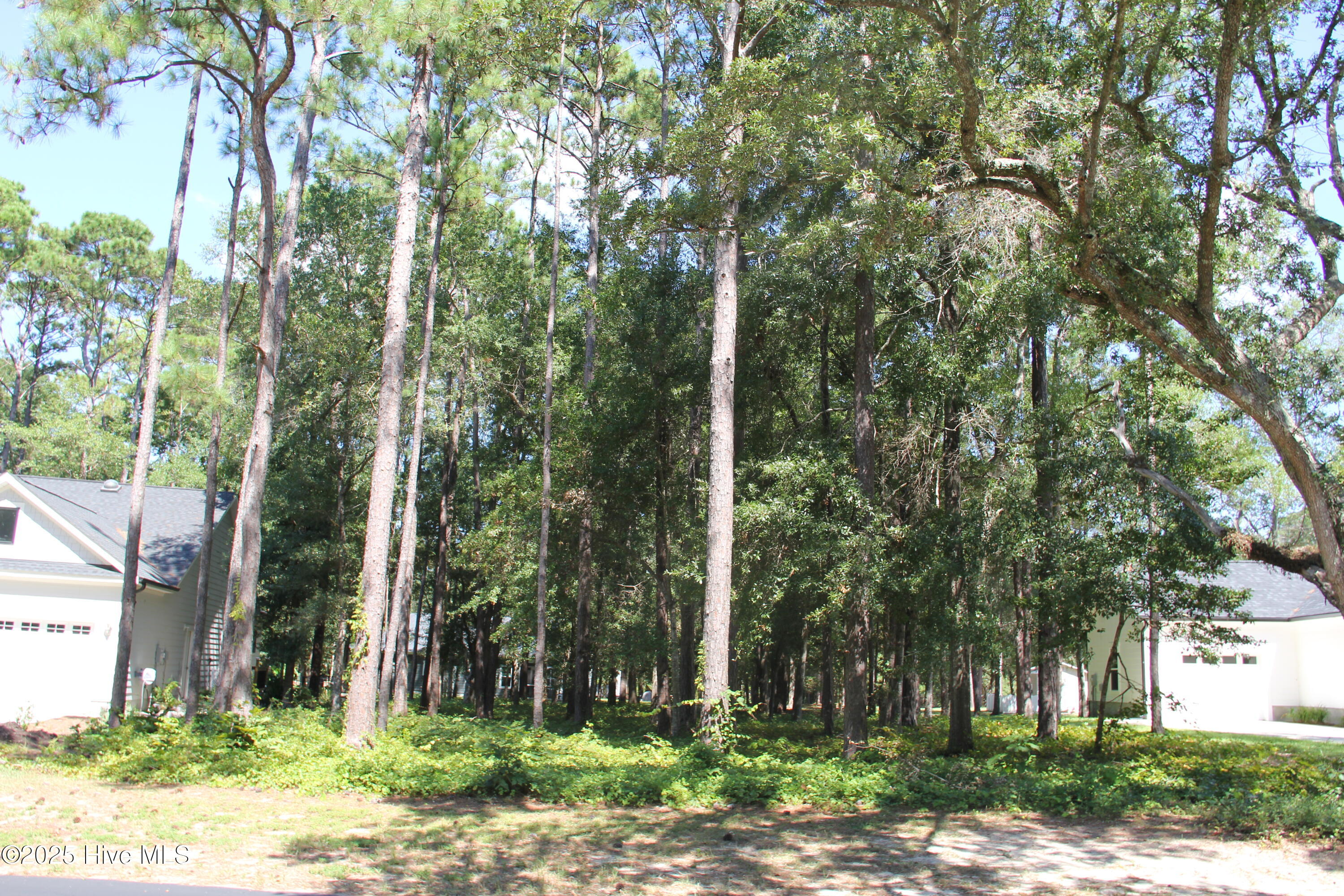 686 Folly Drive Property Photo 1