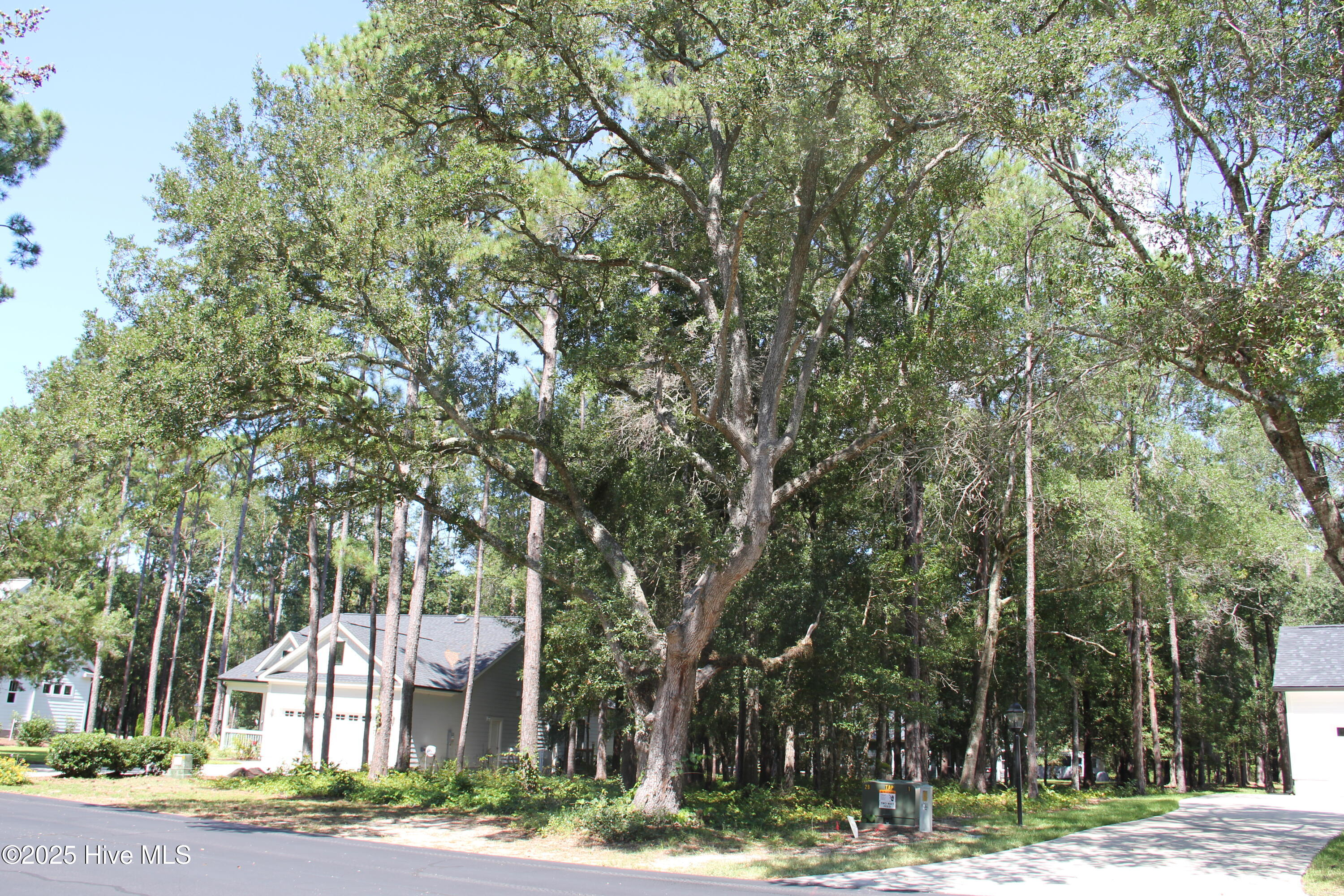 686 Folly Drive Property Photo 2