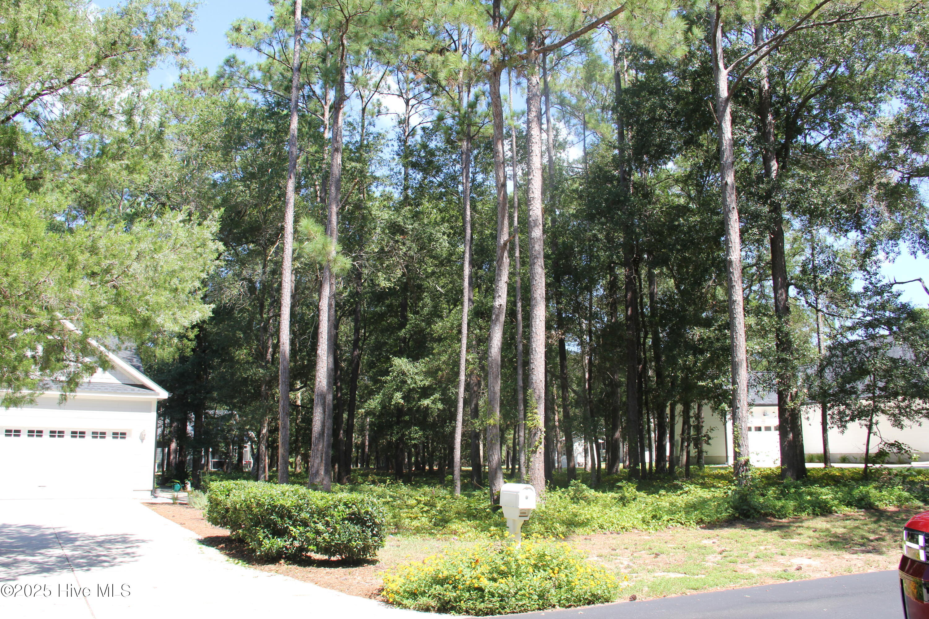 686 Folly Drive Property Photo 3