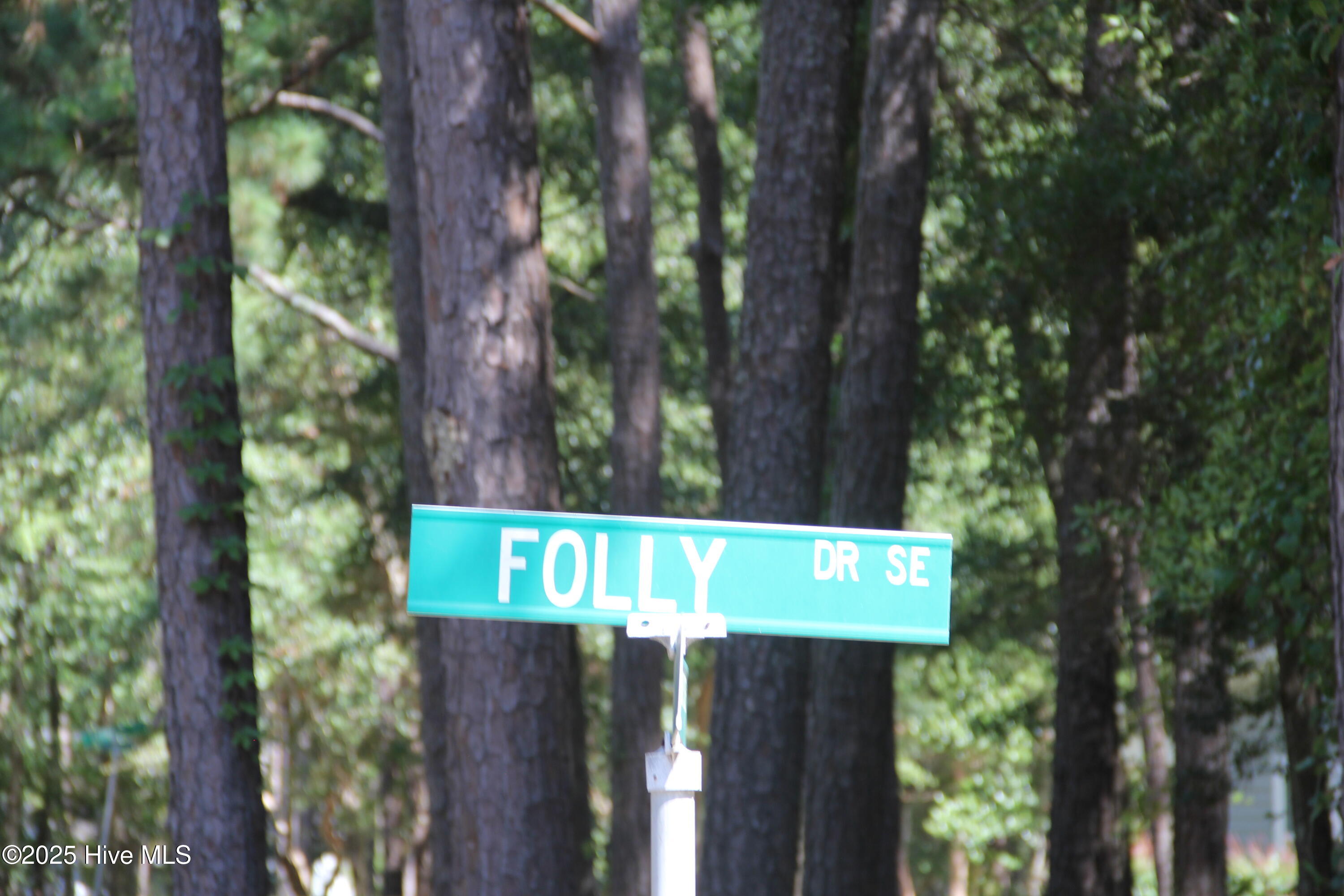 686 Folly Drive Property Photo 4