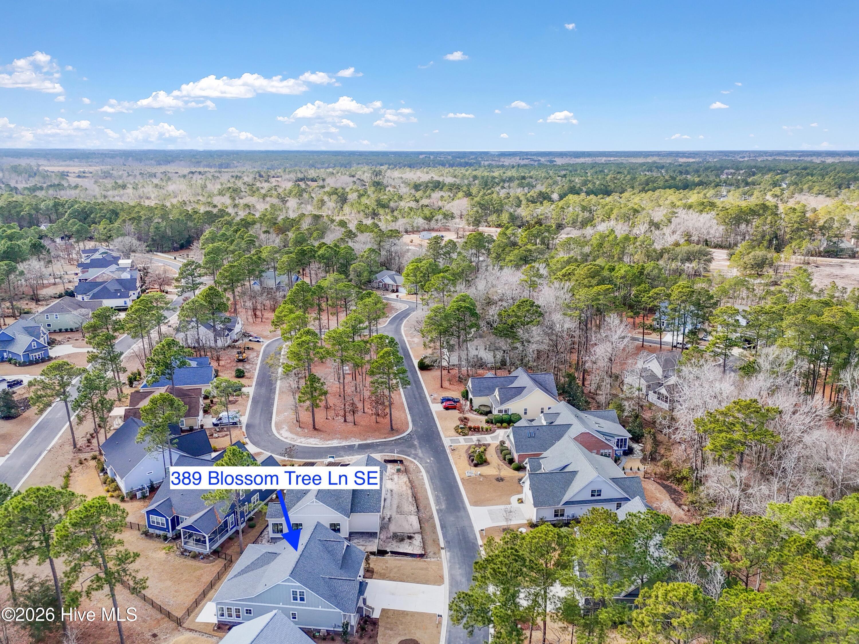389 Blossom Tree Lane Se Property Photo 61