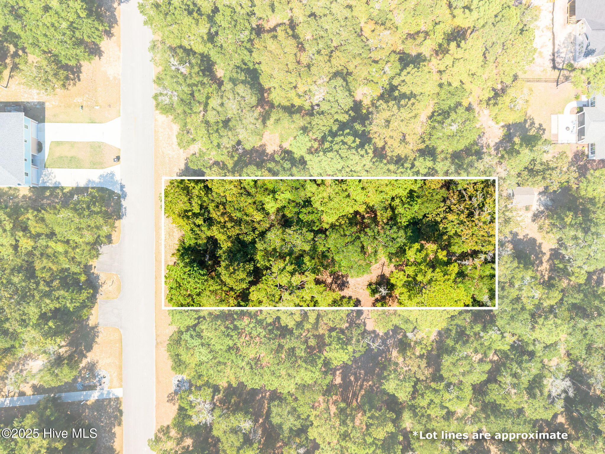 1834 Russell Hewett Road Property Photo 6