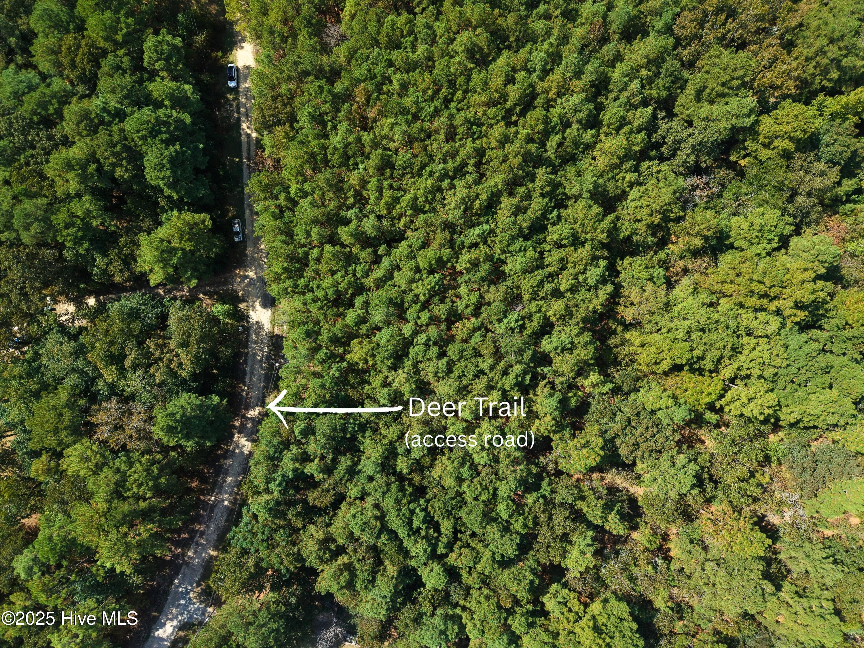 Lot 39xx Deer Trail Property Photo 4