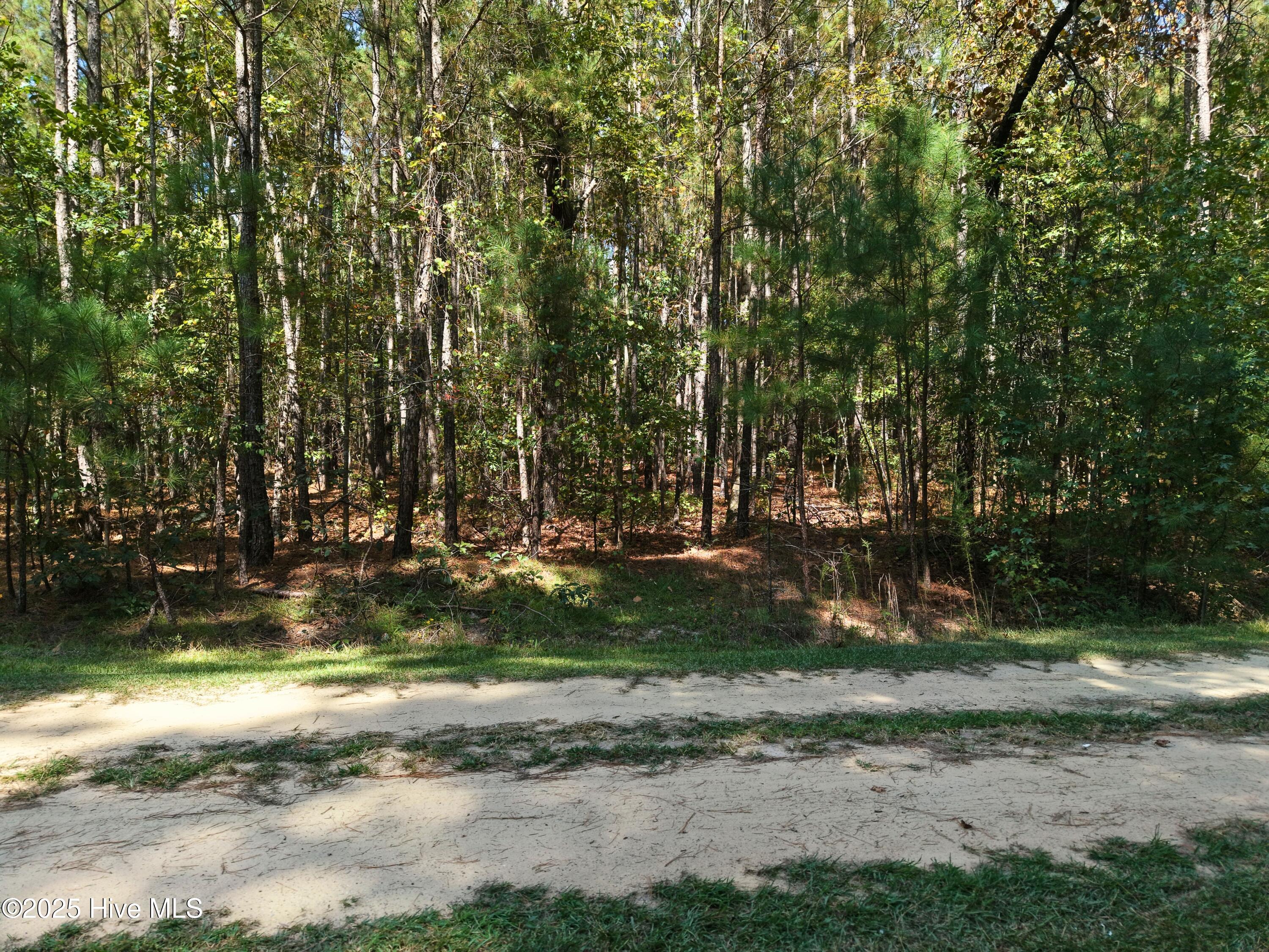 Lot 39xx Deer Trail Property Photo 6