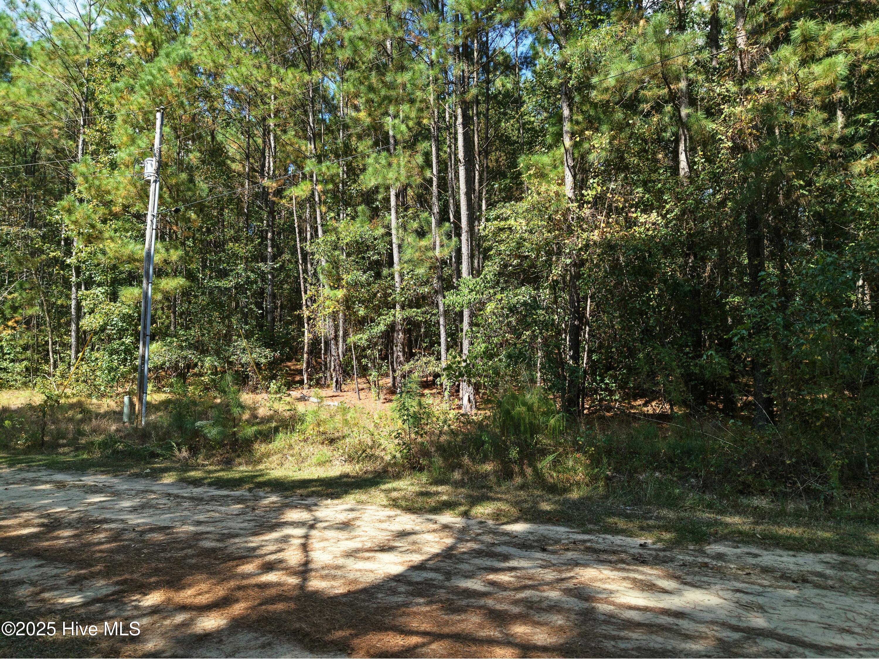 Lot 39xx Deer Trail Property Photo 7