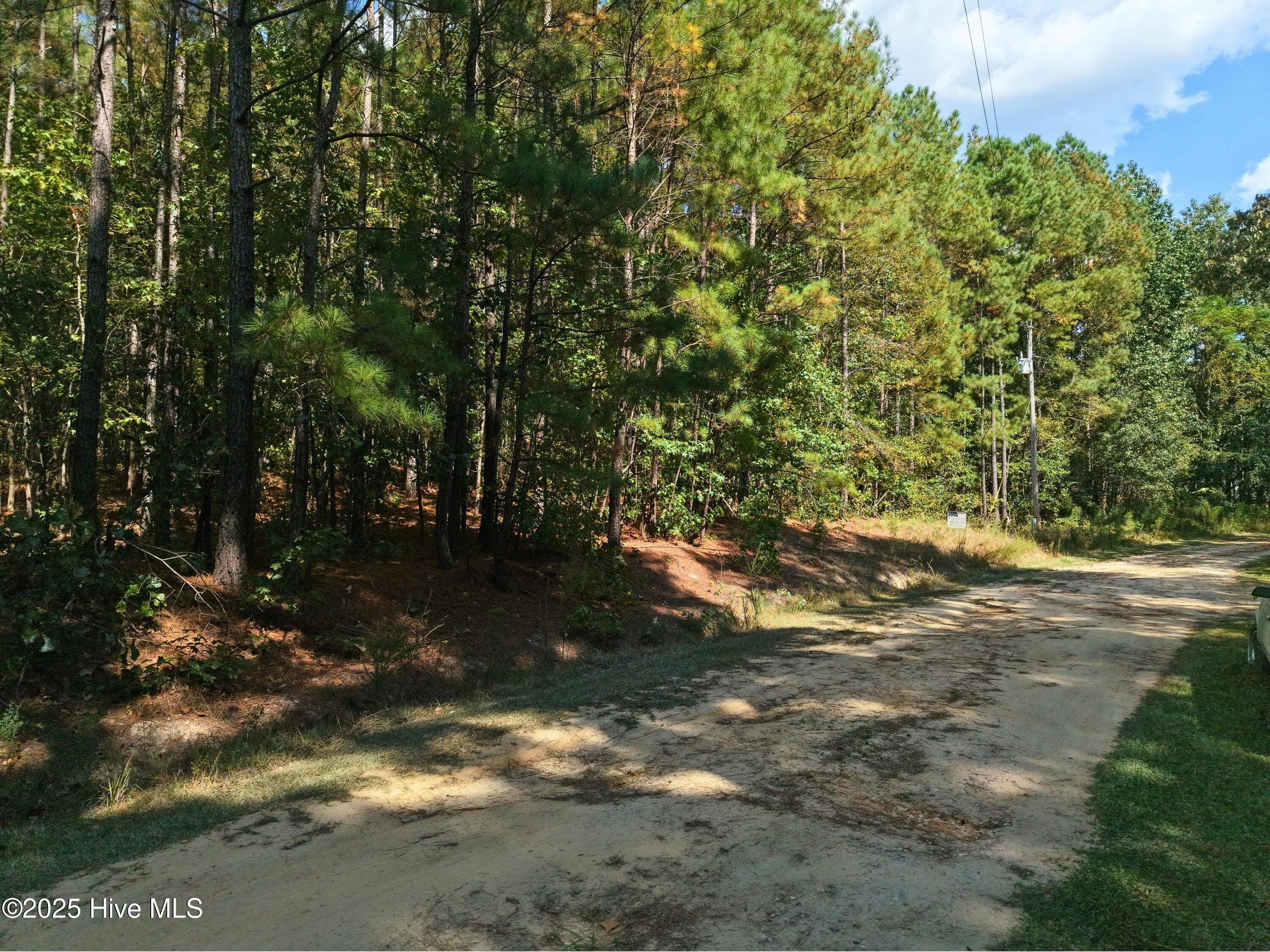 Lot 39xx Deer Trail Property Photo 8