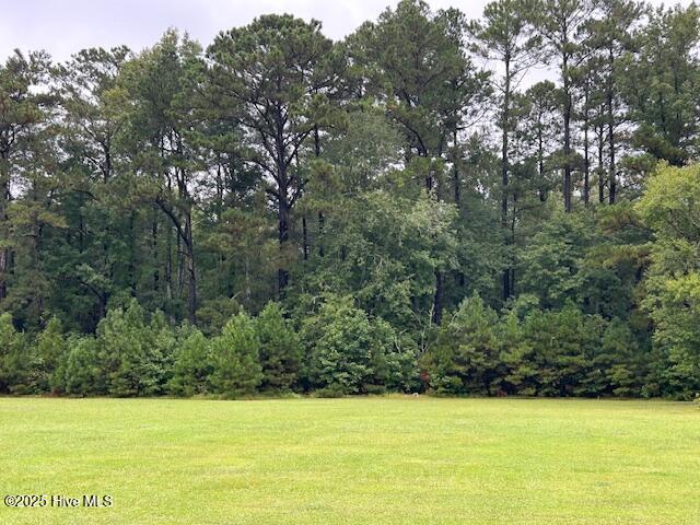 0 Reed Trail Property Photo 3