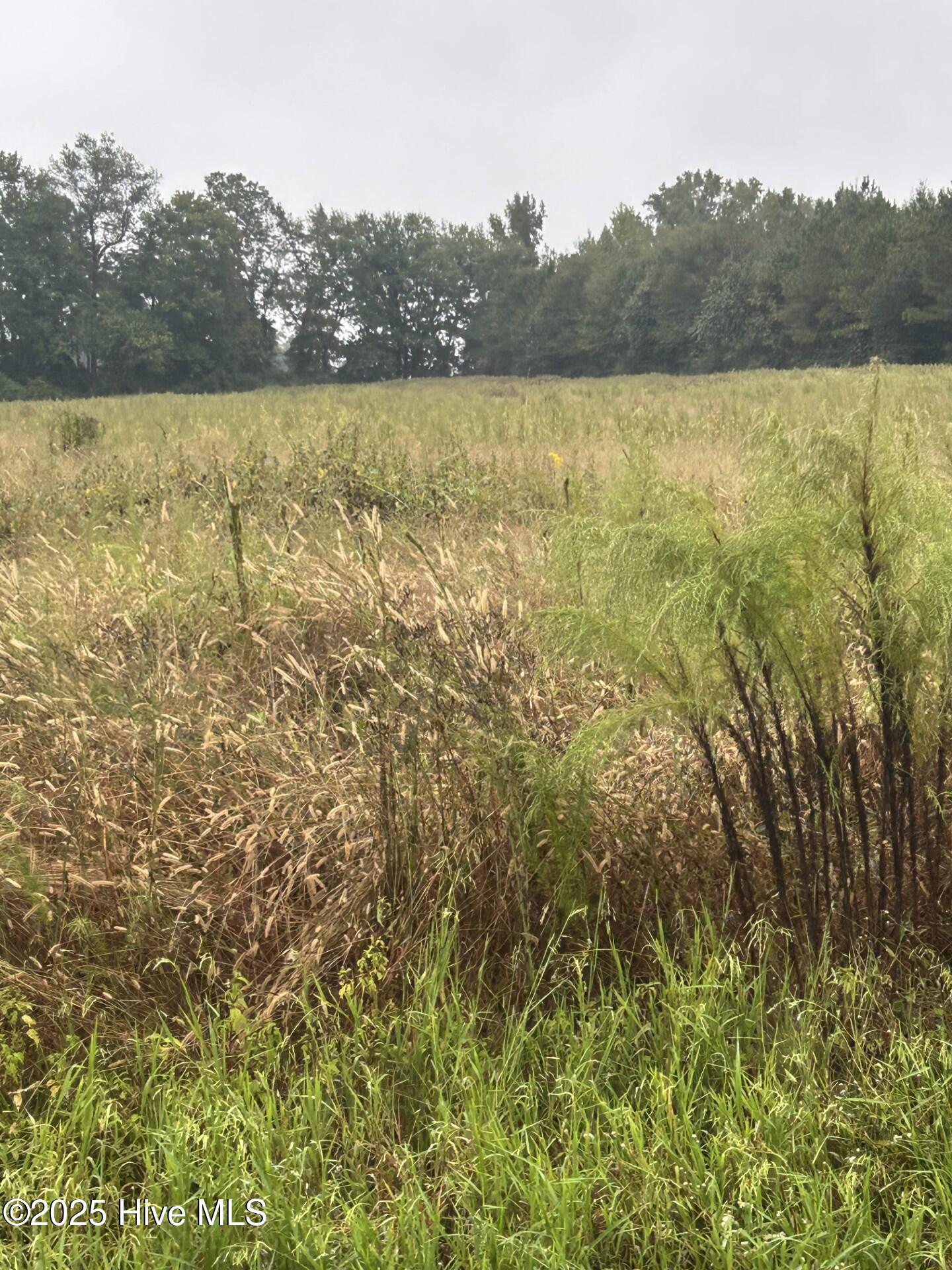 11.98 Pelham Road Property Photo 1