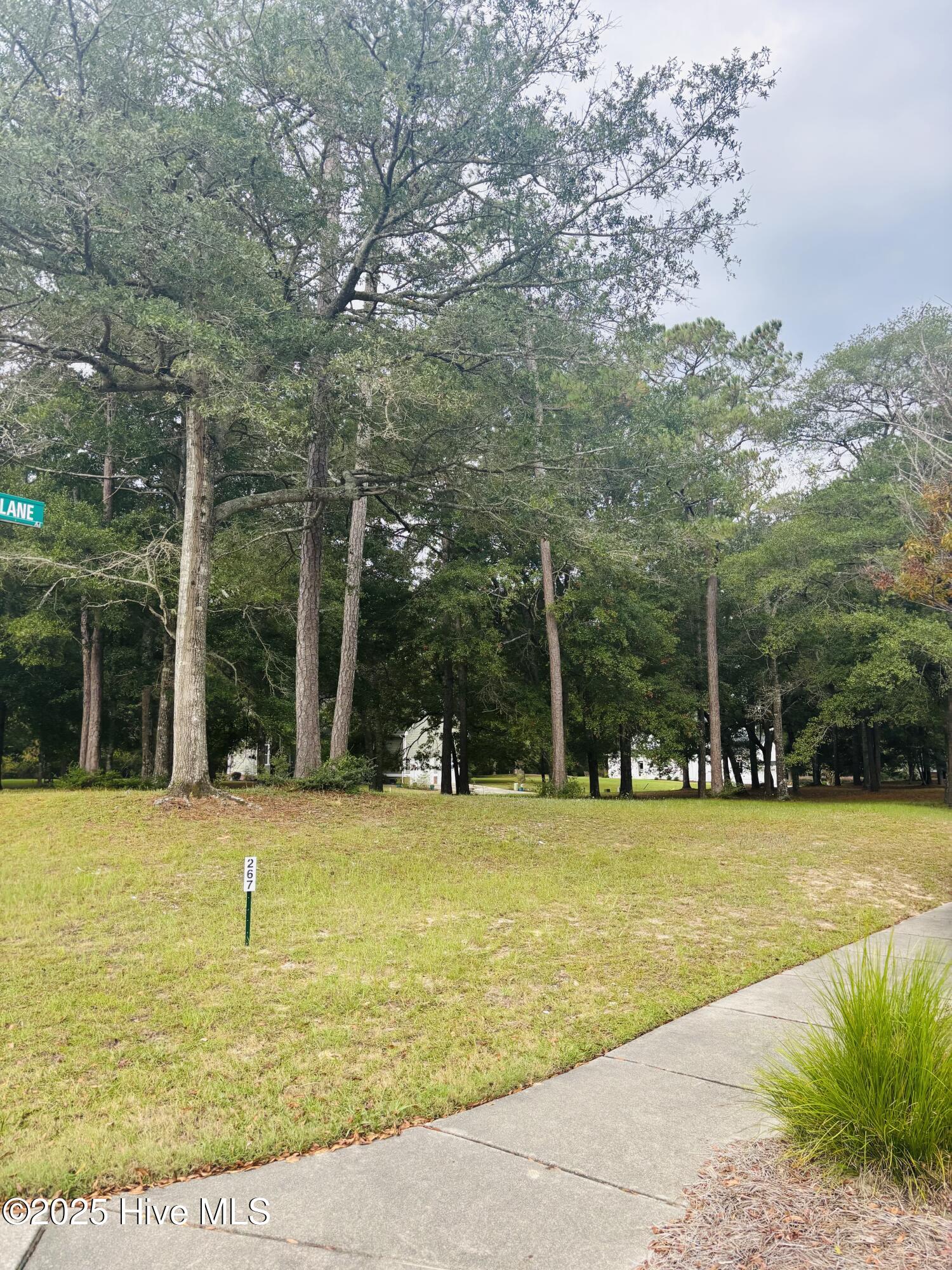 9201 Shaw Lane Property Photo 1