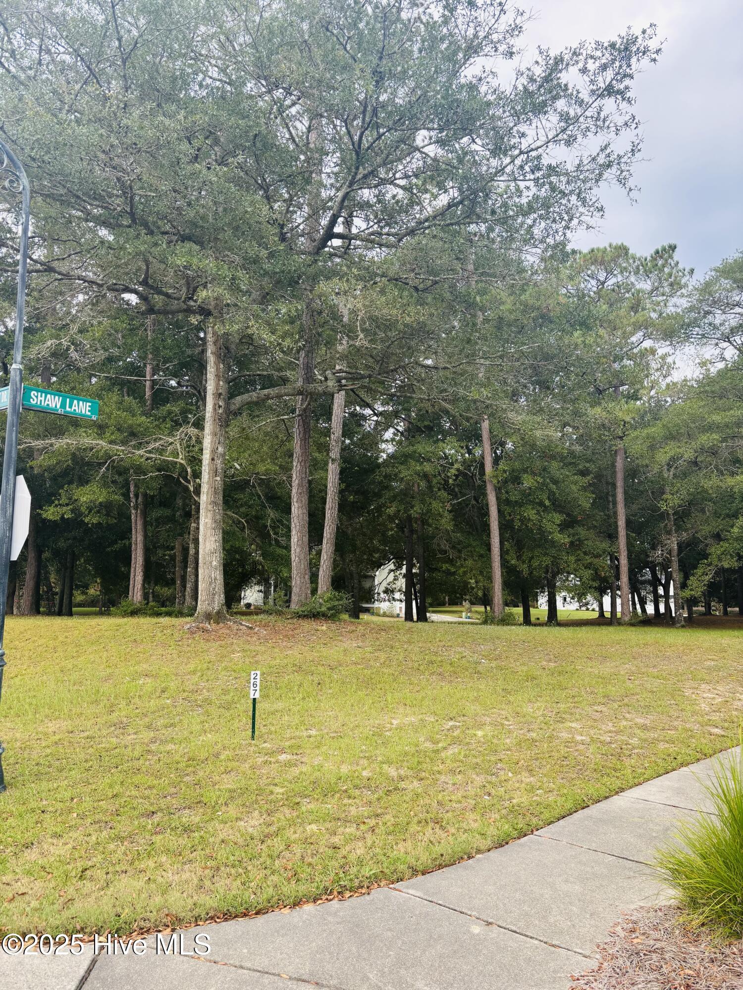 9201 Shaw Lane Property Photo 2