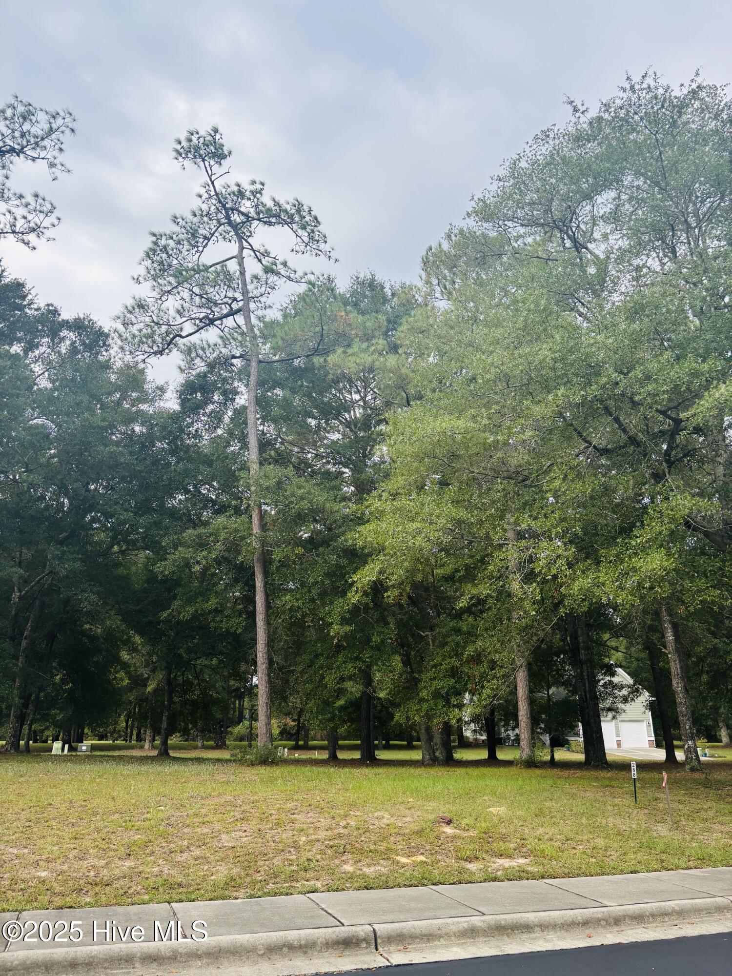 9201 Shaw Lane Property Photo 3