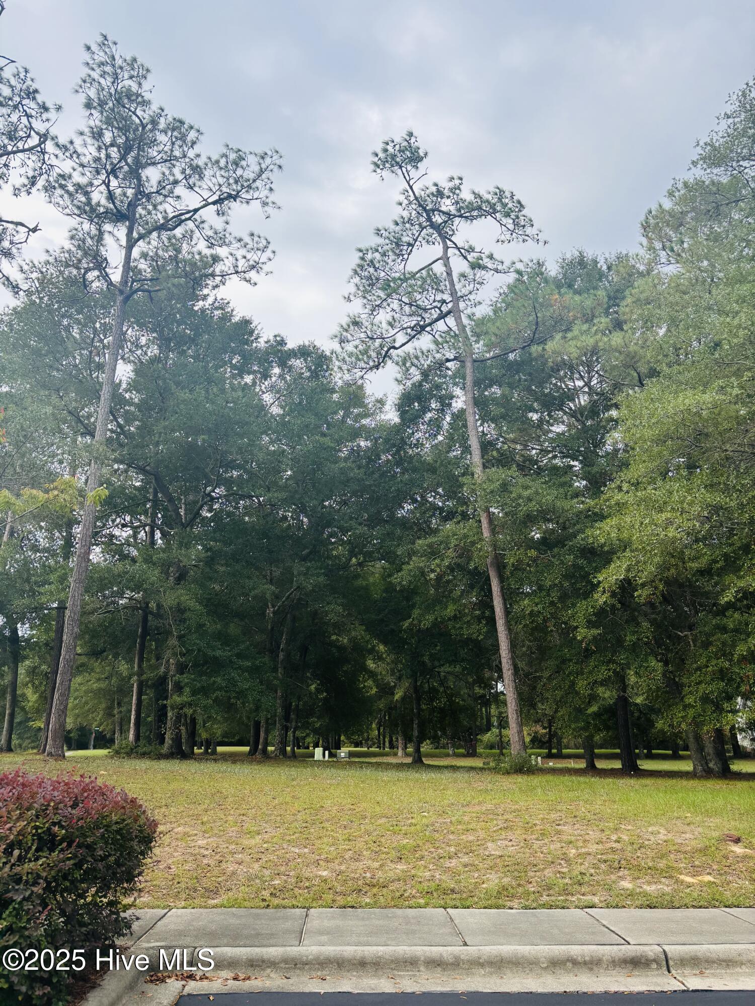 9201 Shaw Lane Property Photo 4