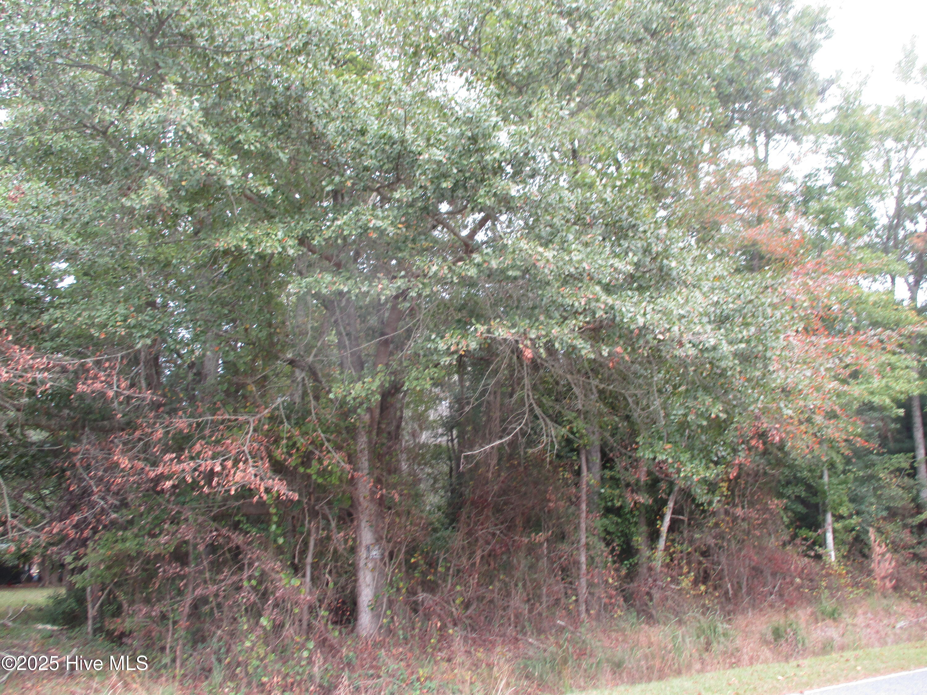 4.6 Ac Lees Mill Road Road Property Photo 2