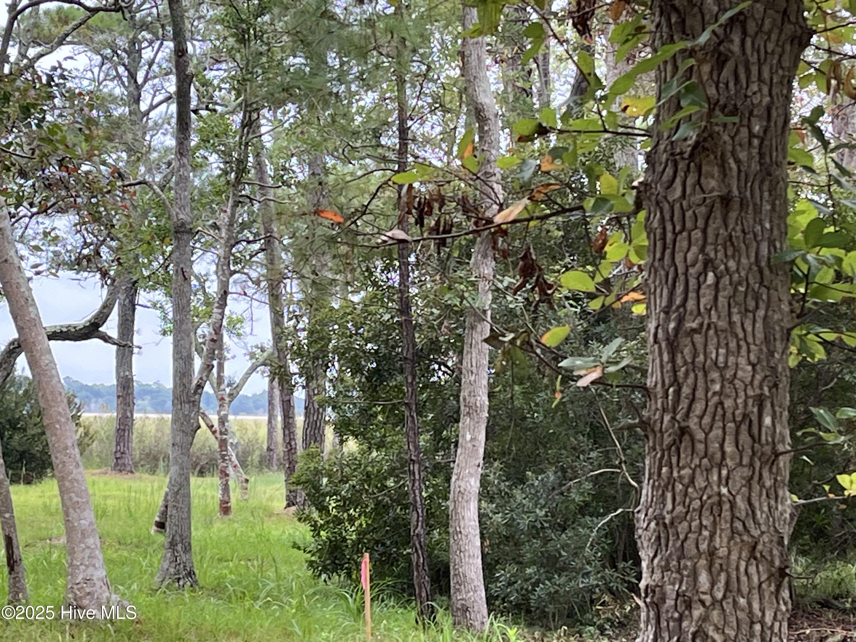 3263 Marsh View Drive Property Photo 7