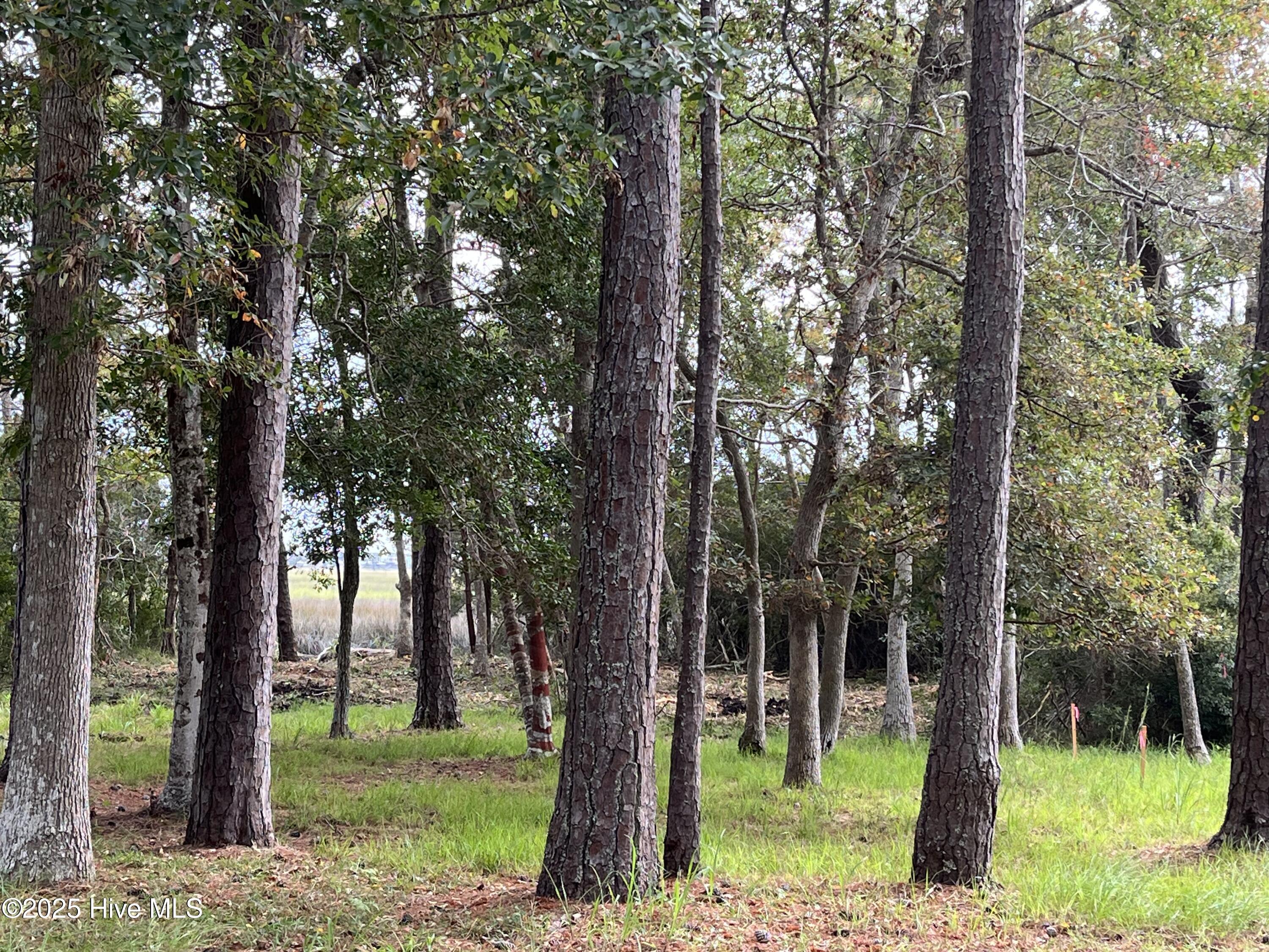 3263 Marsh View Drive Property Photo 8