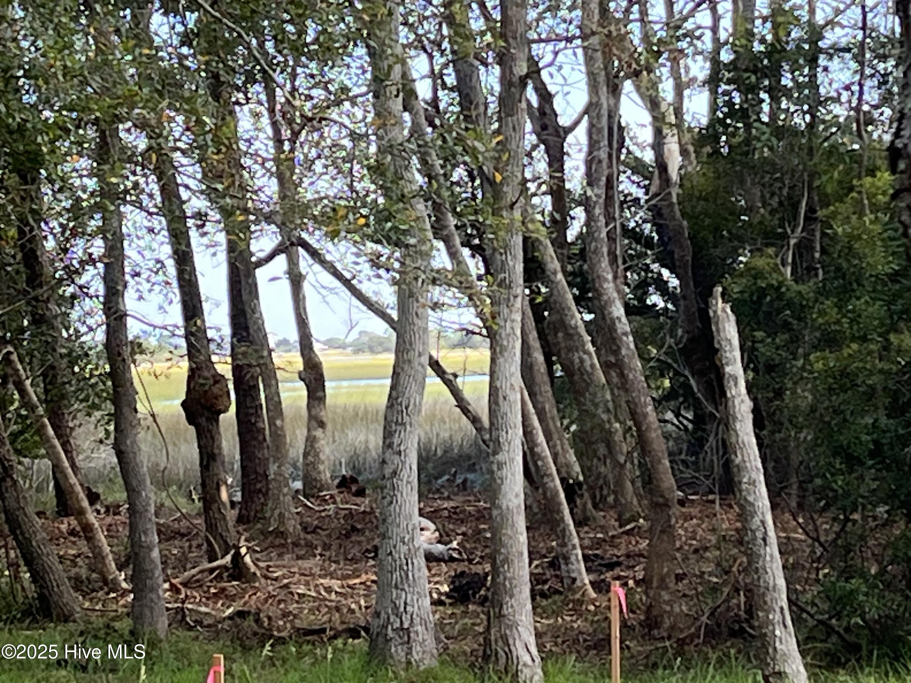 3263 Marsh View Drive Property Photo 9