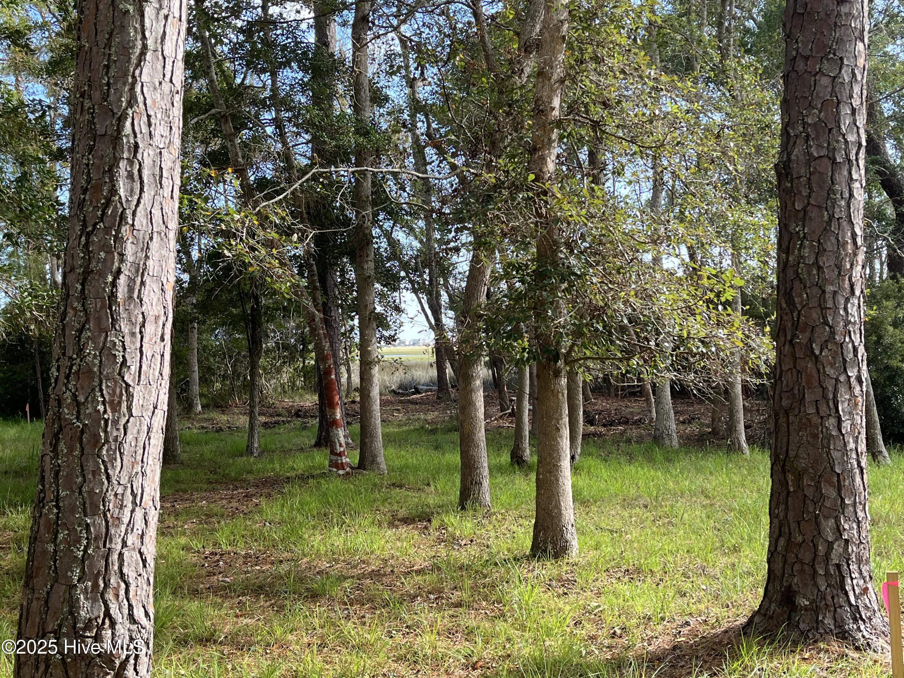 3263 Marsh View Drive Property Photo 11