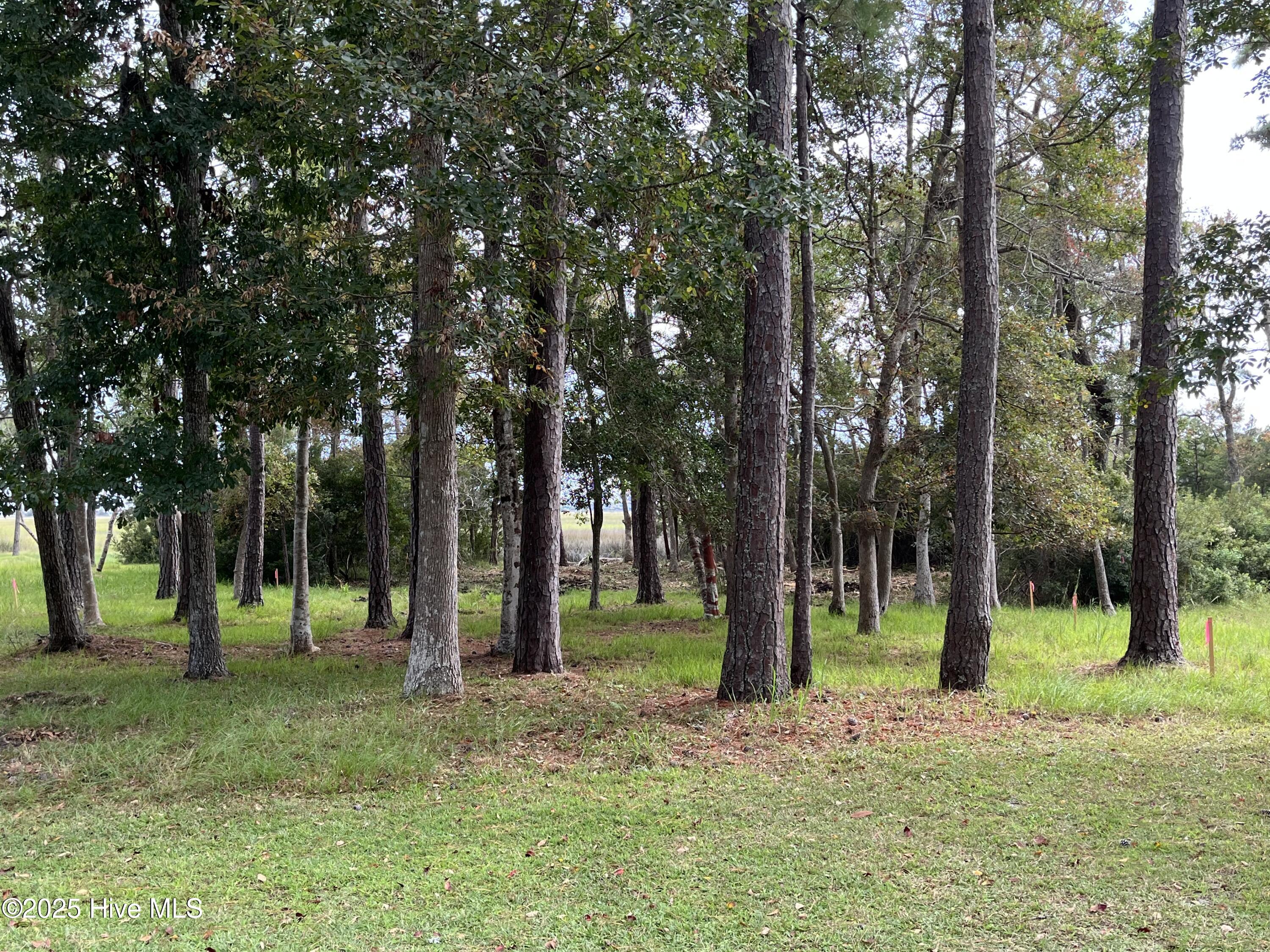 3263 Marsh View Drive Property Photo 12