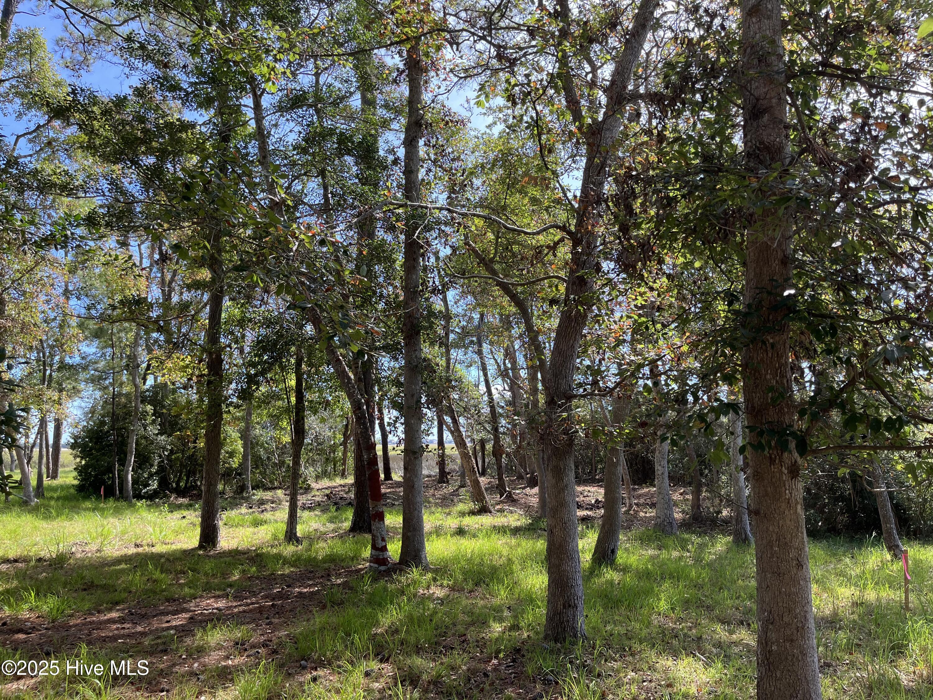 3263 Marsh View Drive Property Photo 13