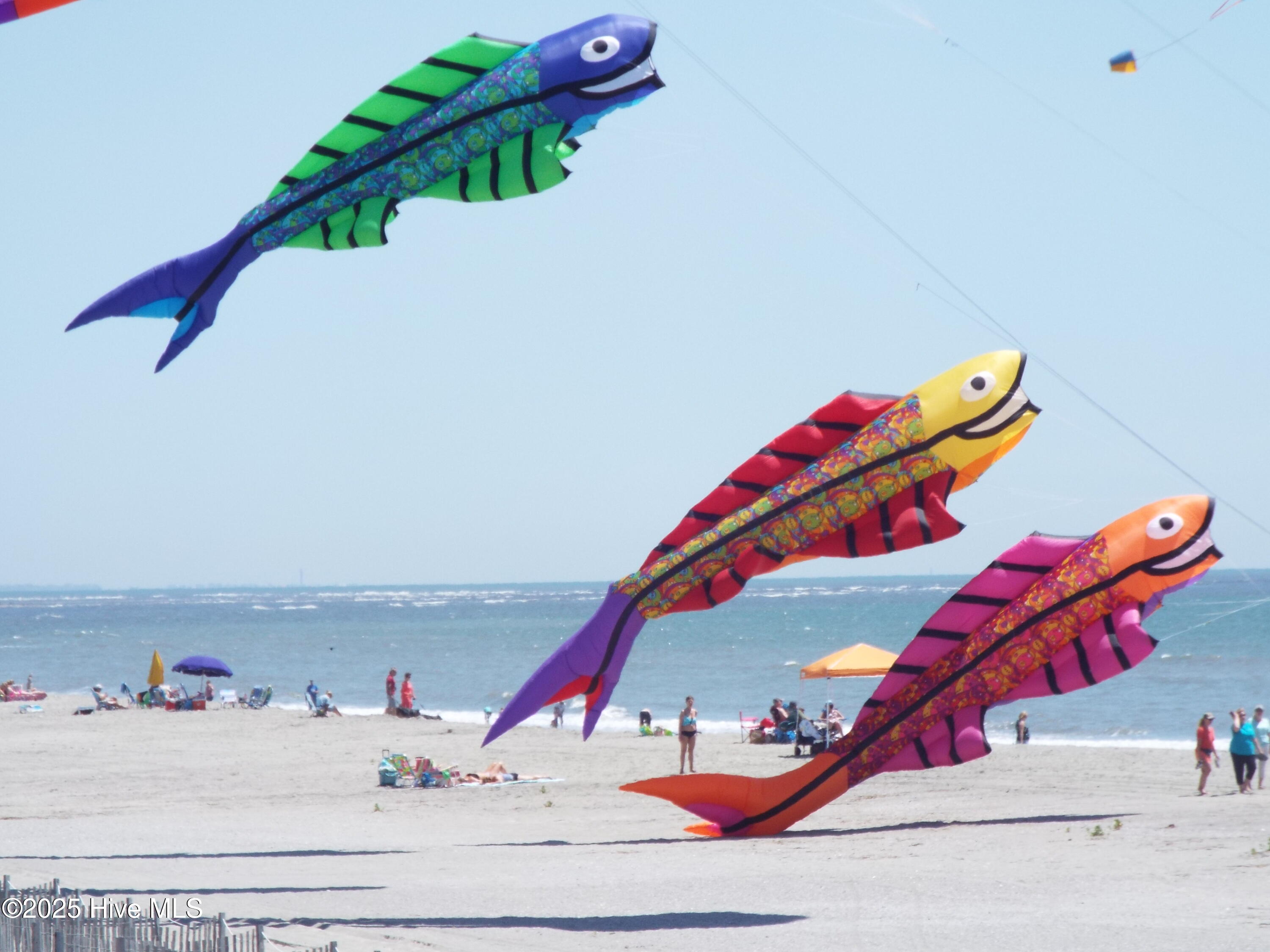 3263 Marsh View Drive Property Photo 55