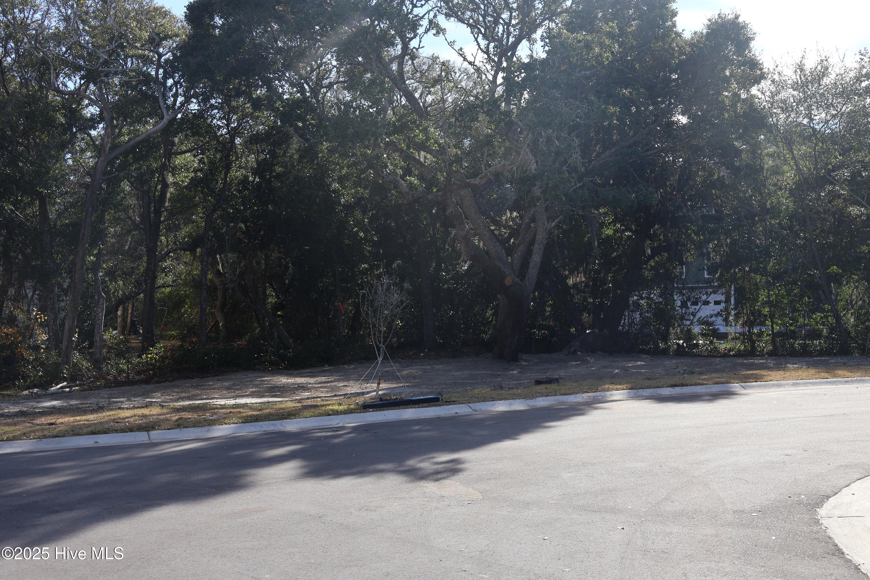 151 29 Auger Shell Court Property Photo 44