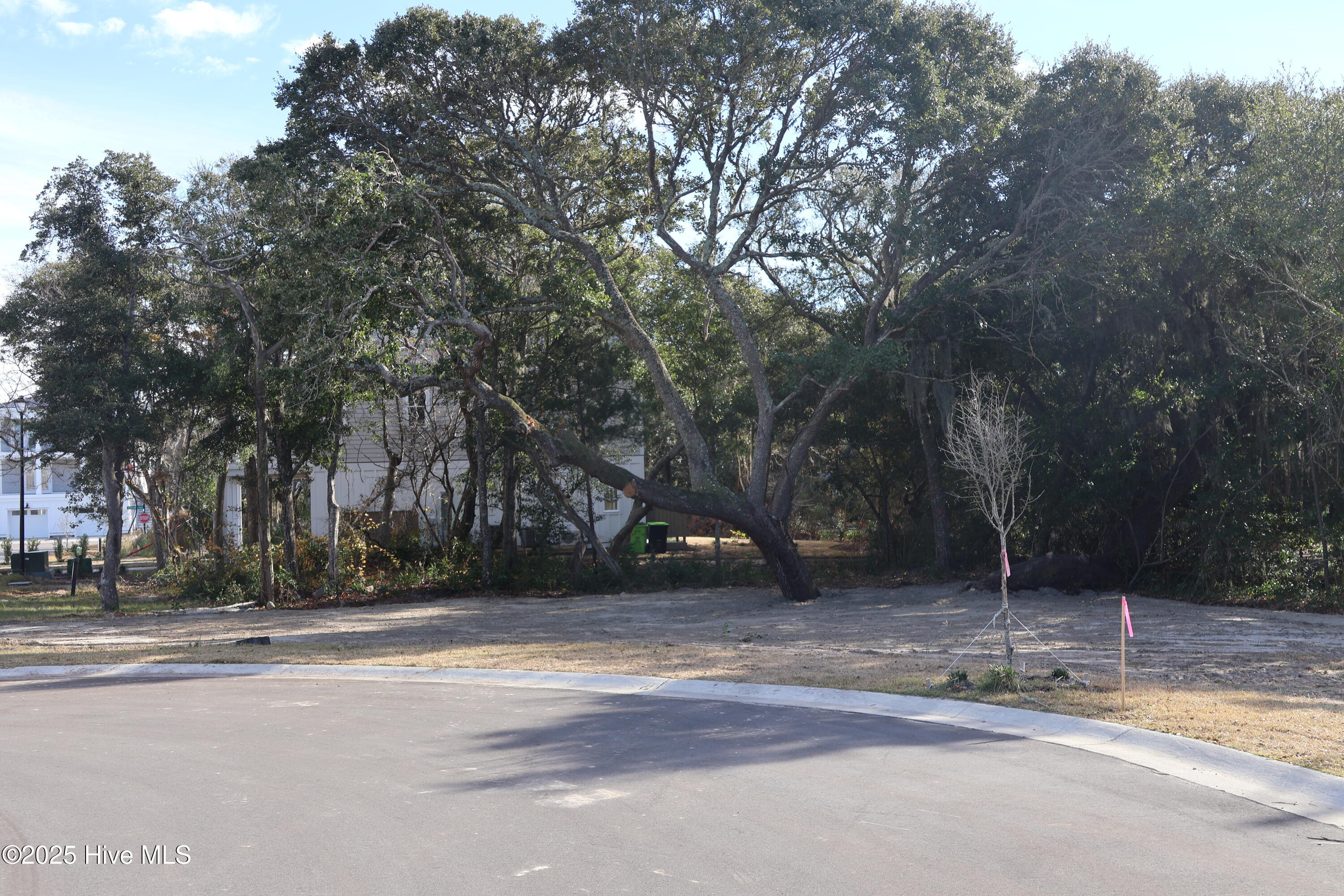 151 29 Auger Shell Court Property Photo 45