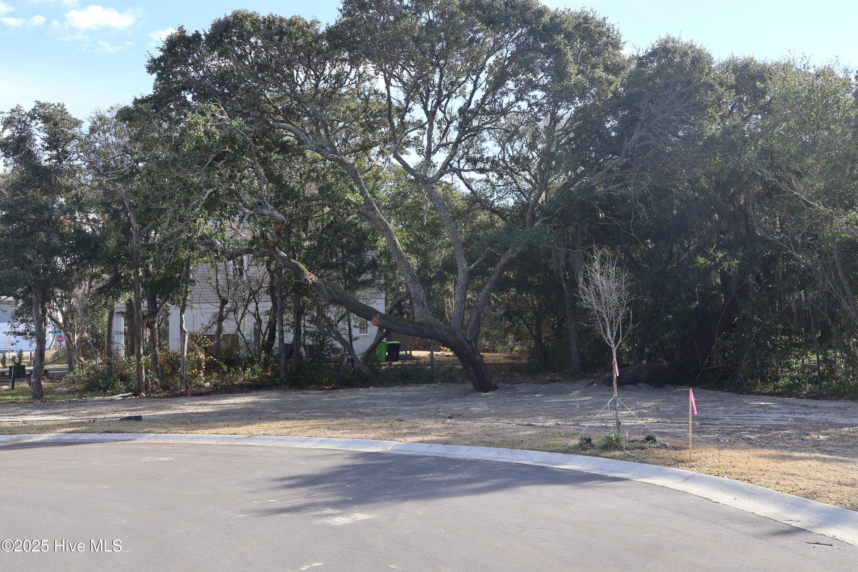 151 29 Auger Shell Court Property Photo 46