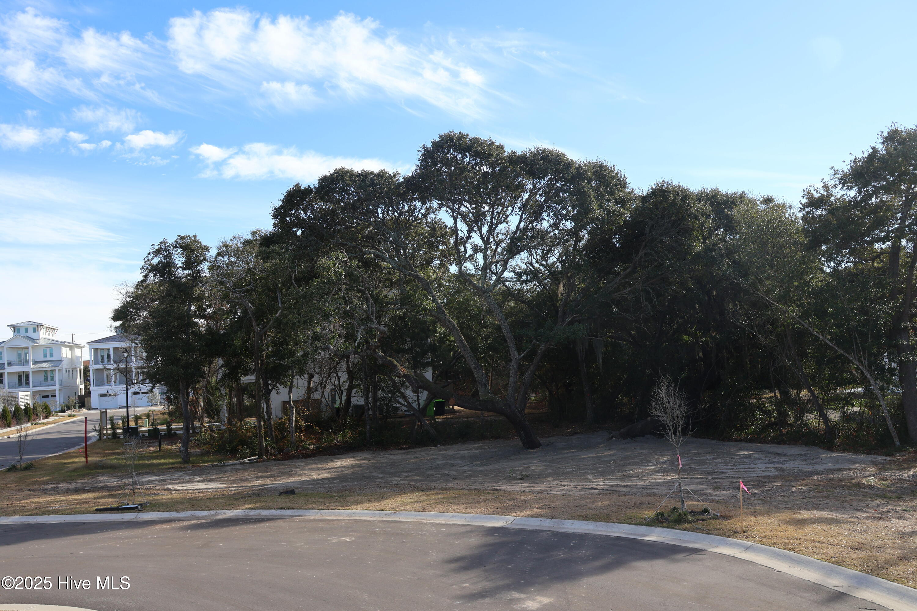 151 29 Auger Shell Court Property Photo 51