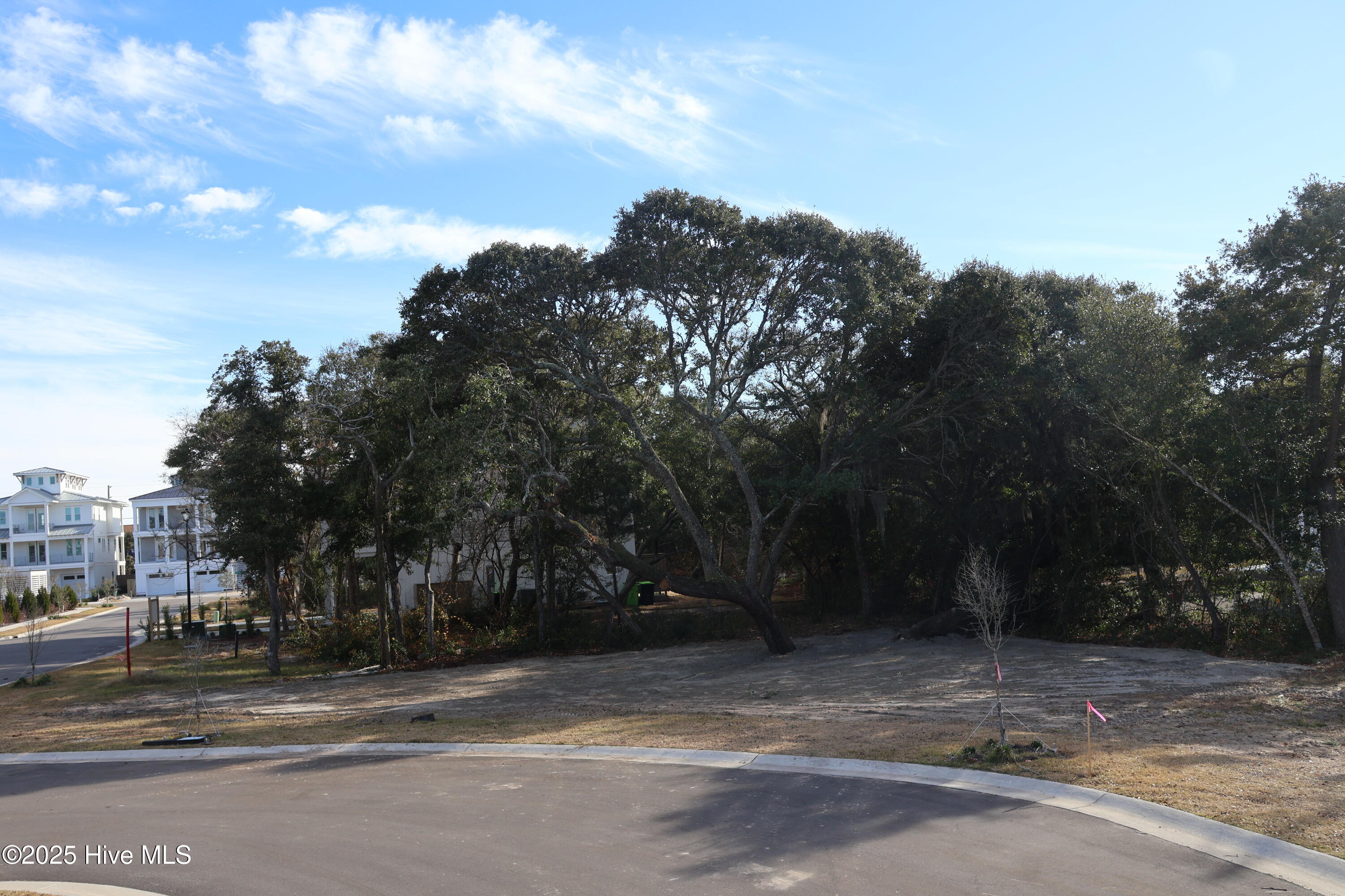 151 29 Auger Shell Court Property Photo 52