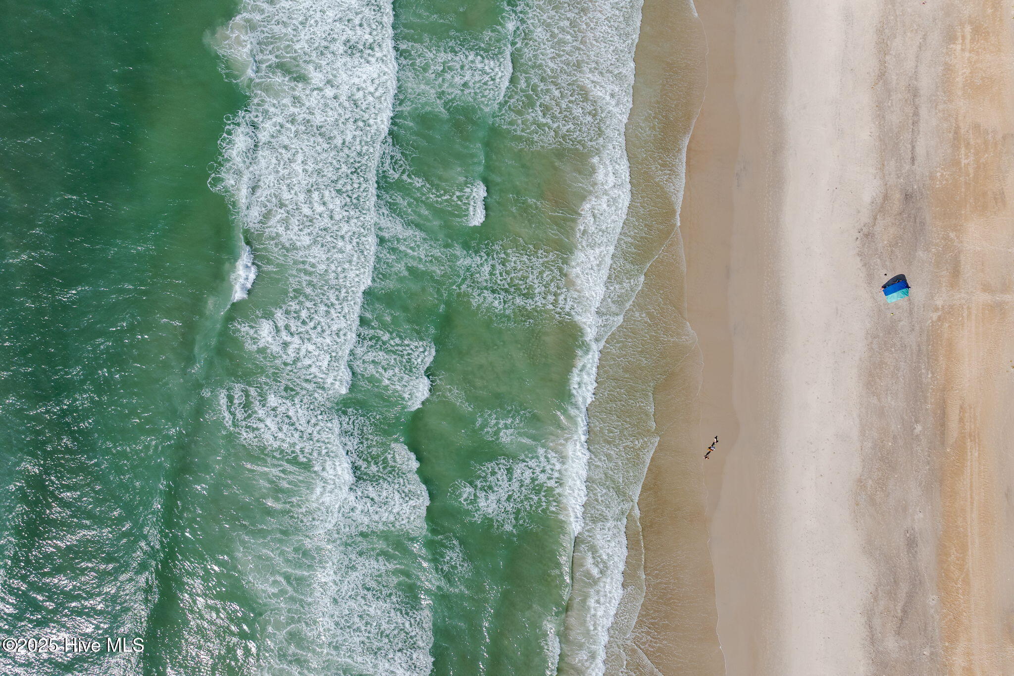 151 Auger Shell Court Property Photo 43