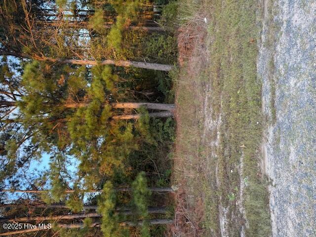 Tbd Cognac Road Property Photo 1